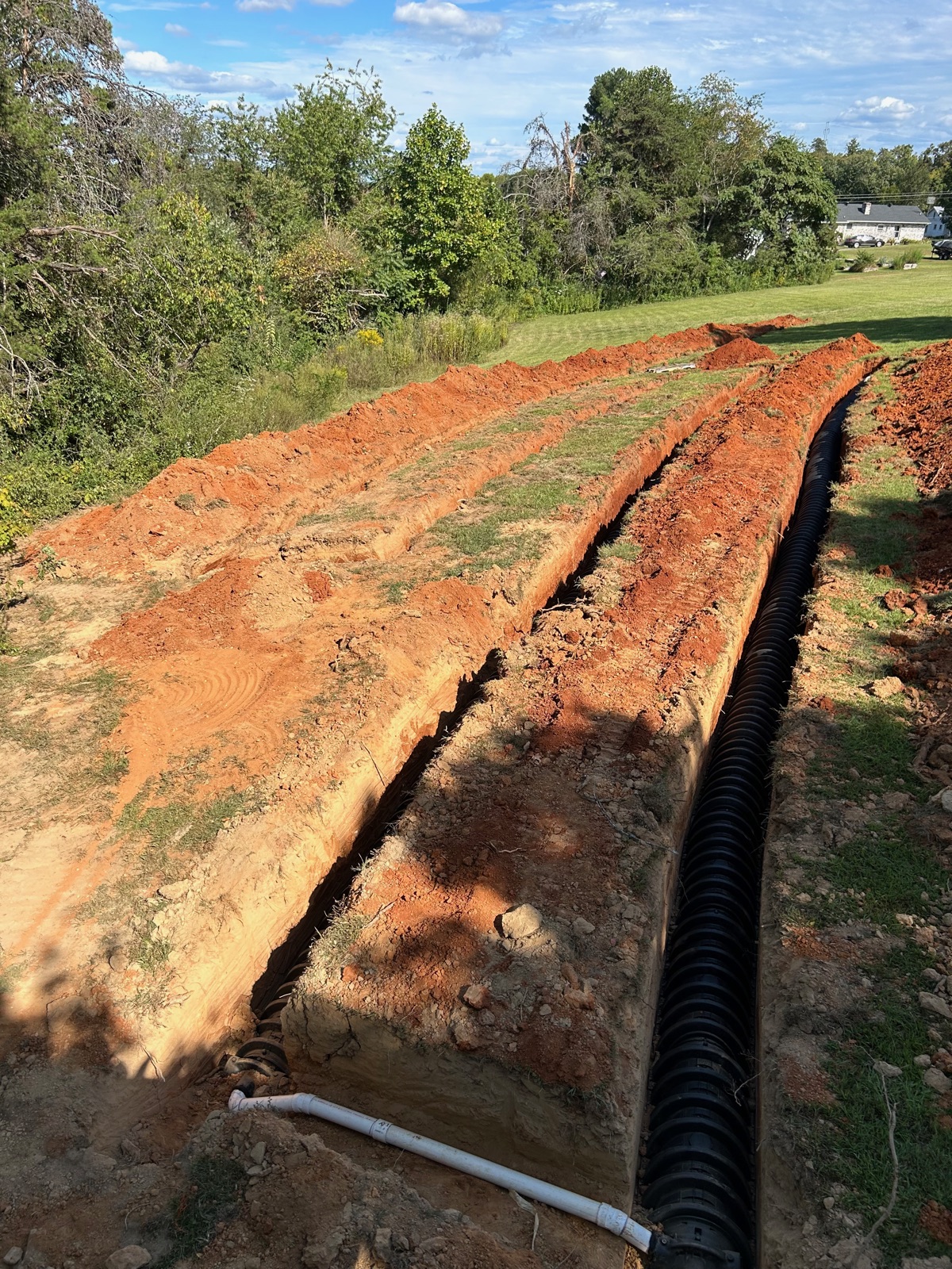 Septic drain field with multiple parallel trenches and lines installed