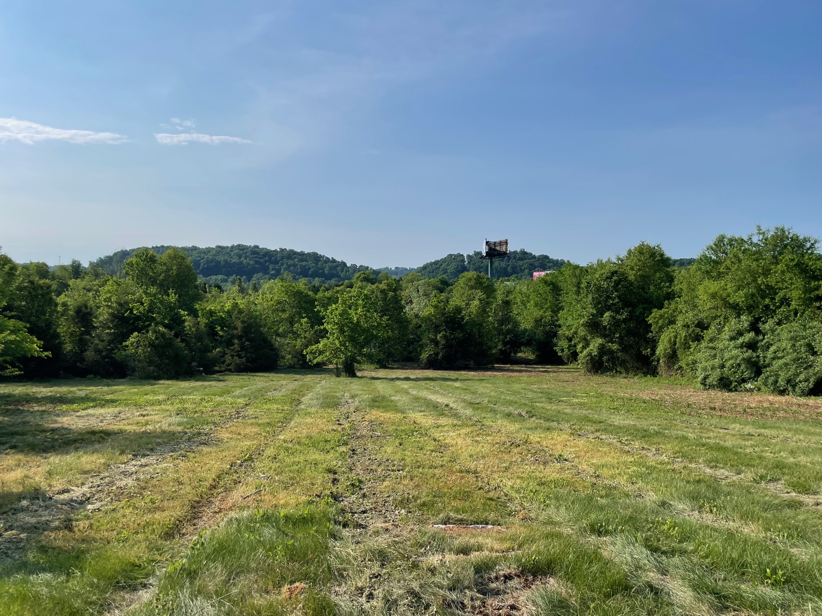 Wide East Tennessee field cleared by bush hogging