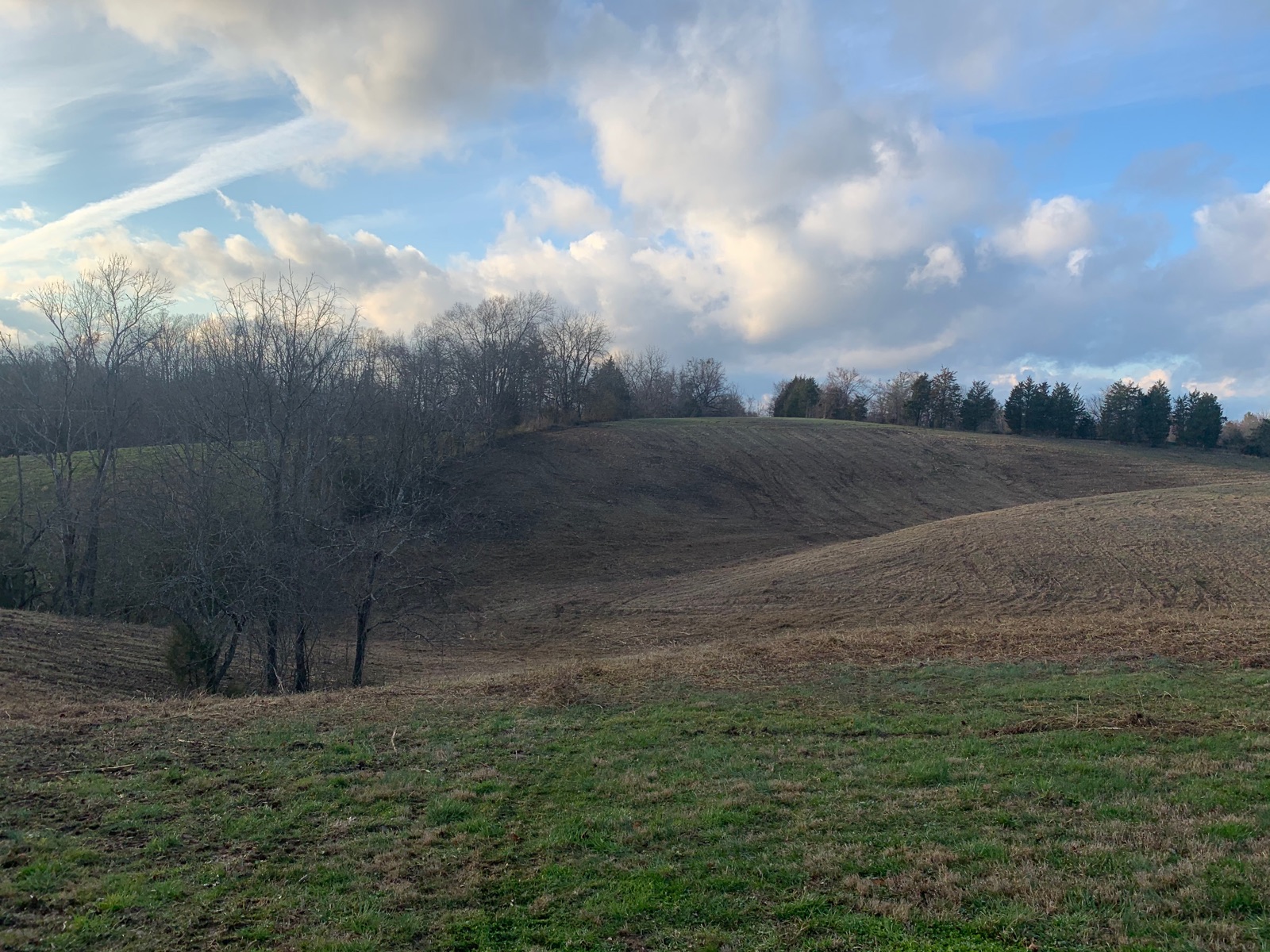 Same hillside cleared and ready for use — after