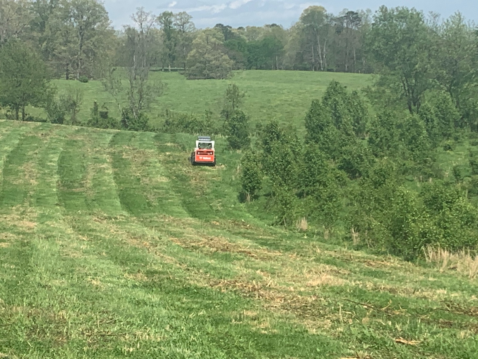 Skid steer with brush mower running across a tall pasture