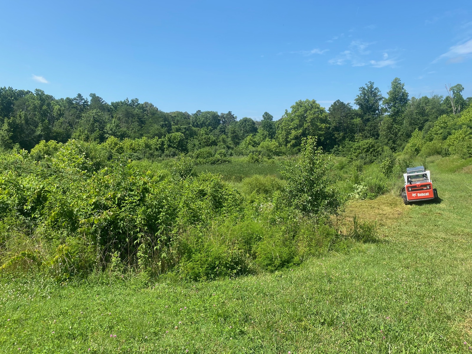 Skid steer cutting back tall brush in an overgrown field
