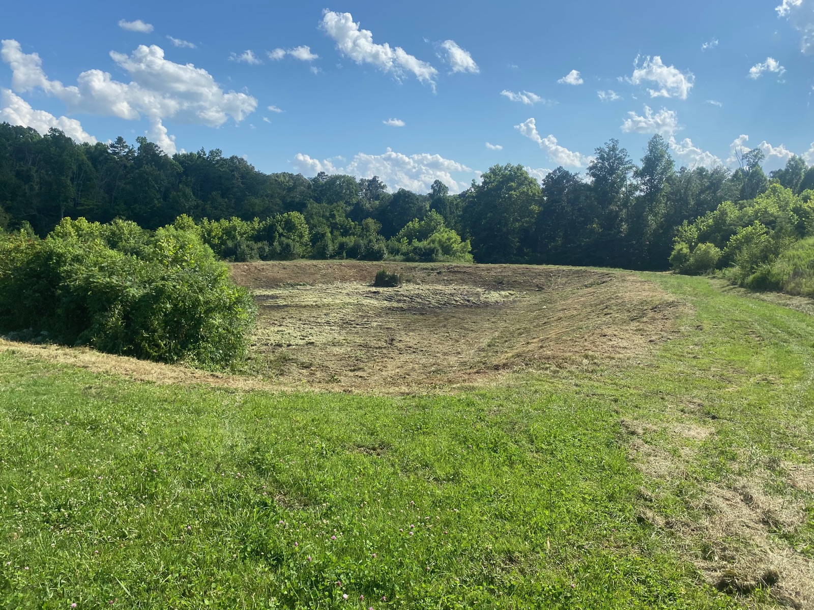 Newly built pond basin in a wooded clearing